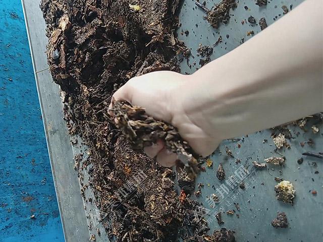 中藥渣脫水處理用帶式壓榨機(jī)效果怎么樣？